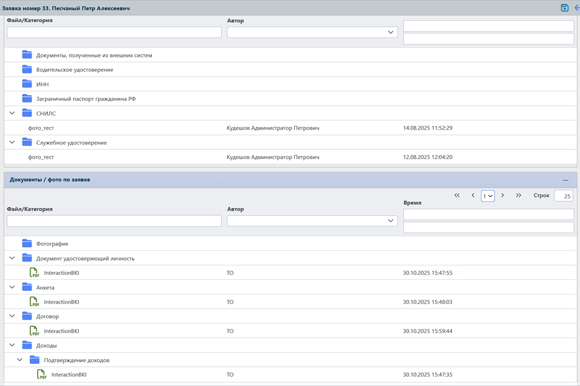 Файлы, прикрепленные к заявке на выдачу кредита